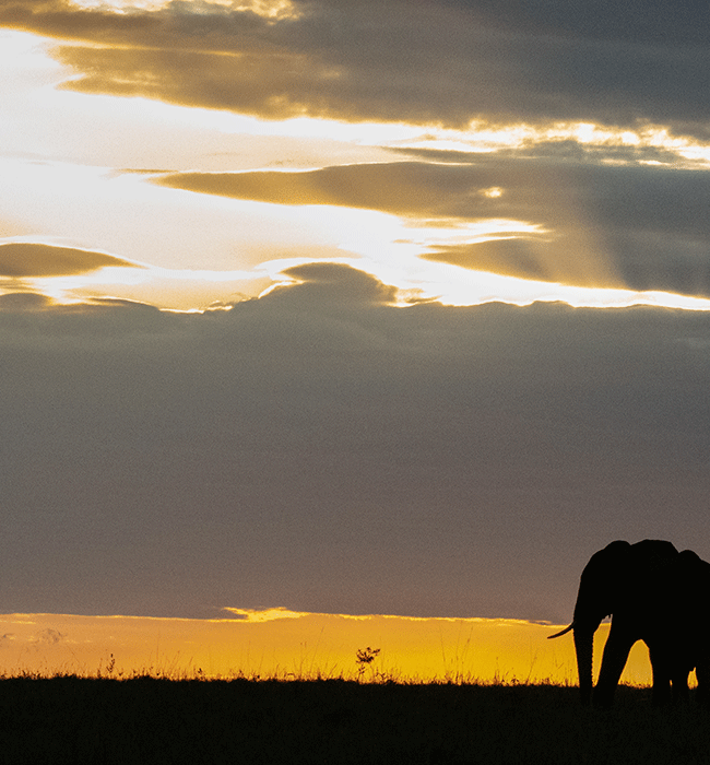 Maasai Mara National Reserve