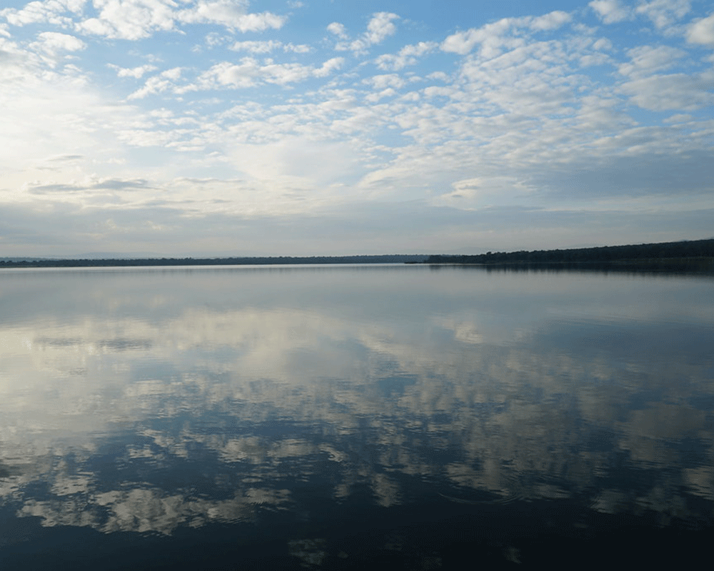 12-Day Best of Rwanda Safari